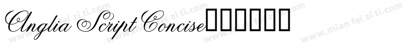 Anglia Script Concise字体转换